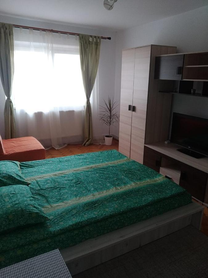 Apartament Erik Sibiu Exterior foto